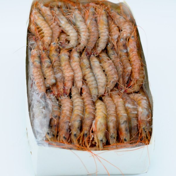 crevette n°6