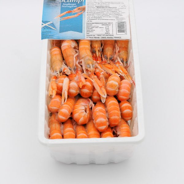 langoustine 40/50