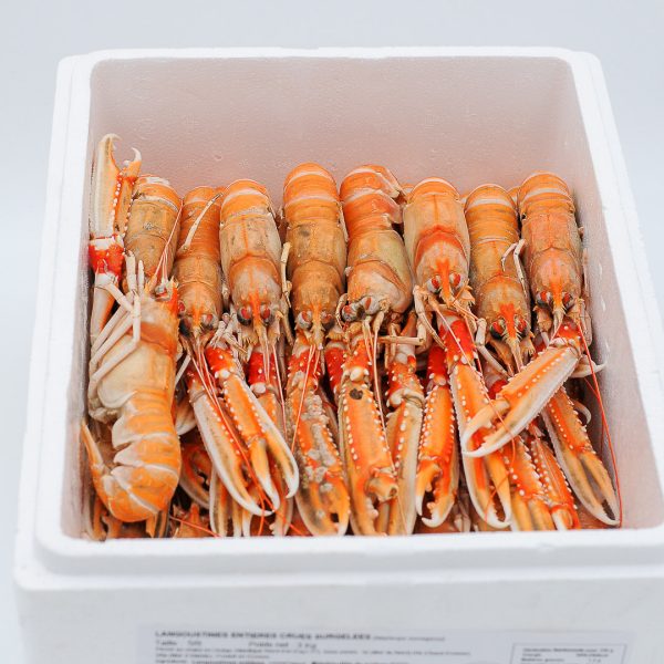 langoustine