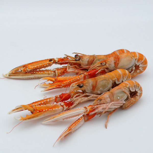 langoustine