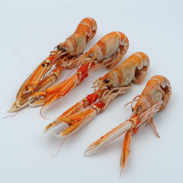 langoustine