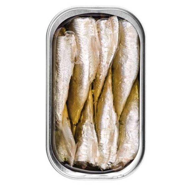 sardine